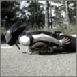 Bilder Galerie