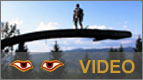 View this Video
